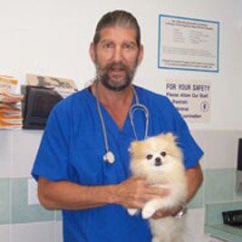 angel animal hospital reviews